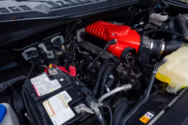 2020 Ford F-150 Harley-Davidson Edition 4×4 — photo 99