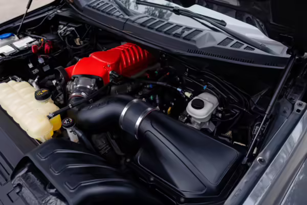 2020 Ford F-150 Harley-Davidson Edition 4×4 — photo 100