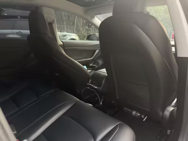 2019 Tesla Model 3 Performance — photo 28