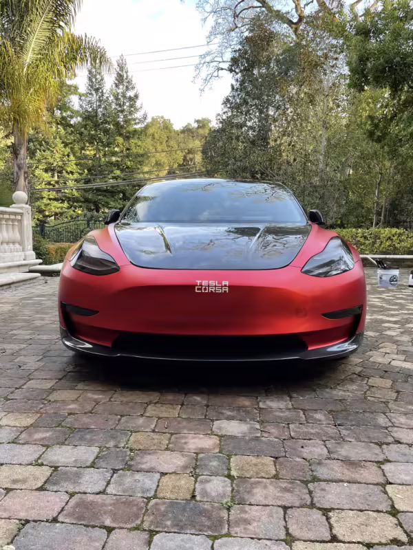 2019 Tesla Model 3 Performance — photo 6