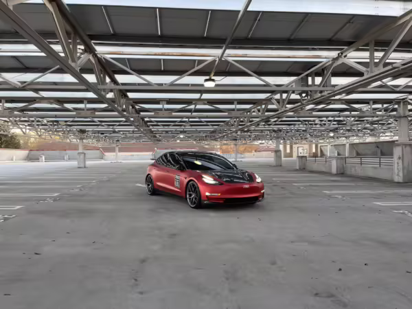 2019 Tesla Model 3 Performance — photo 7