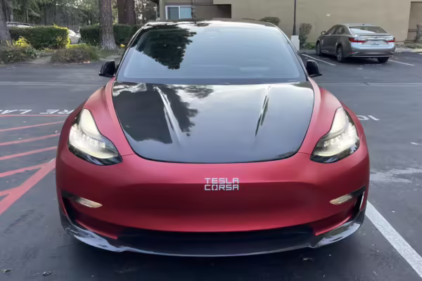 2019 Tesla Model 3 Performance — photo 8