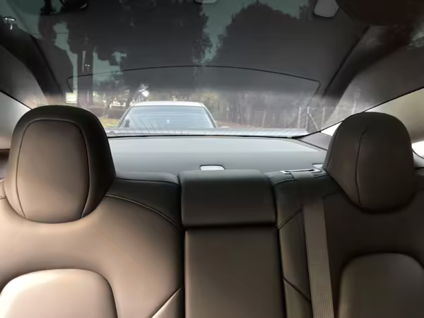 2019 Tesla Model 3 Performance — photo 47