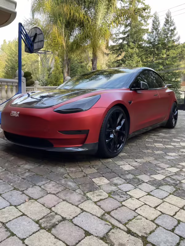 2019 Tesla Model 3 Performance — photo 17