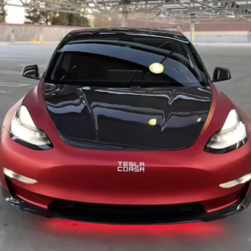 2019 Tesla Model 3 Performance — photo 22
