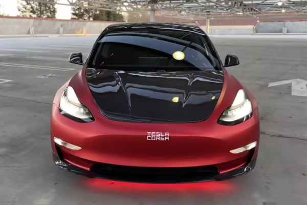 2019 Tesla Model 3 Performance — photo 22