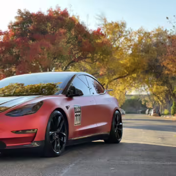 2019 Tesla Model 3 Performance — photo 23