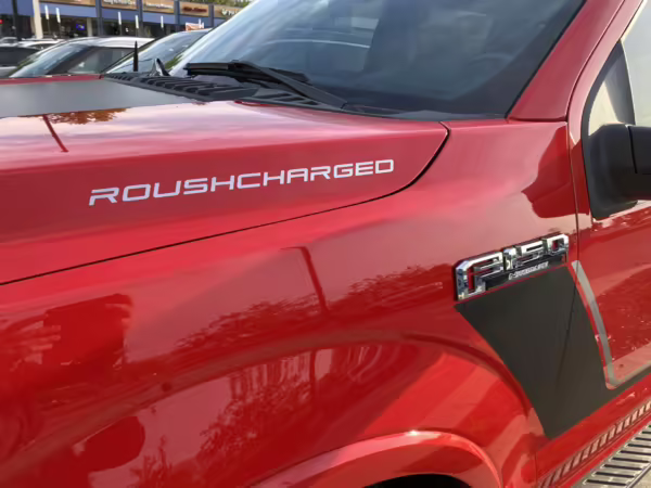 2020 Ford F-150 Roush Nitemare 4×4 — photo 8