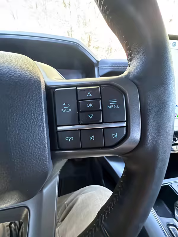 2022 Ford F-150 Lightning Lariat — photo 20