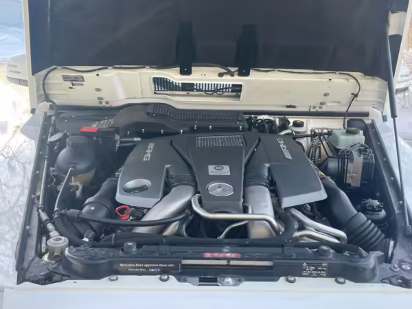 2018 Mercedes-AMG G63 — photo 38