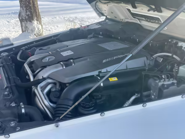 2018 Mercedes-AMG G63 — photo 44
