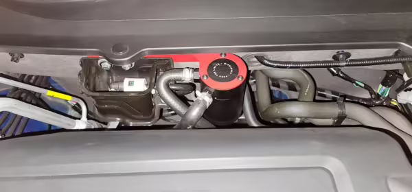2019 Honda Accord — photo 41
