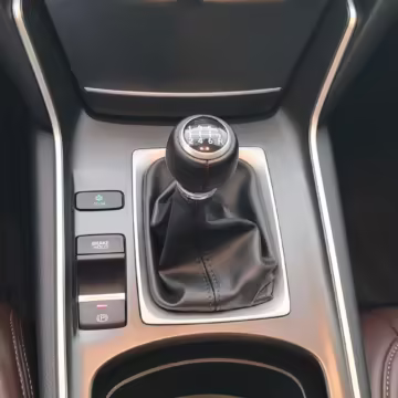 2019 Honda Accord — photo 25
