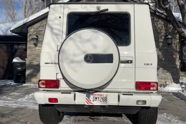 2018 Mercedes-AMG G63 — photo 10
