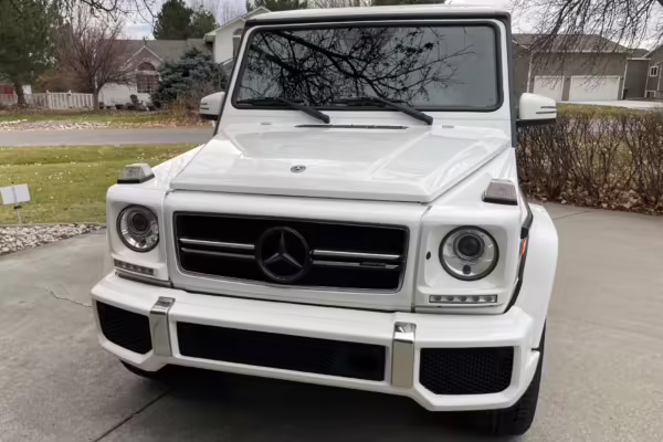2018 Mercedes-AMG G63 — photo 11