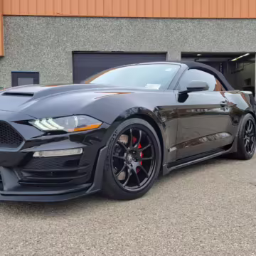 2020 Ford Mustang GT Carroll Shelby Signature Series Convertible — photo 22