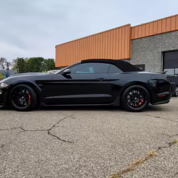 2020 Ford Mustang GT Carroll Shelby Signature Series Convertible — photo 20