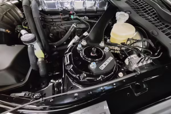 2020 Ford Mustang GT Carroll Shelby Signature Series Convertible — photo 85