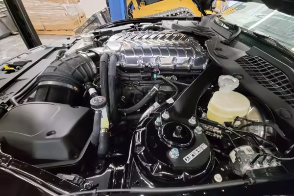 2020 Ford Mustang GT Carroll Shelby Signature Series Convertible — photo 86