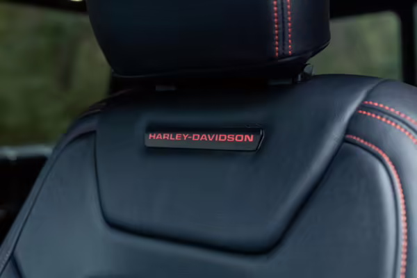 2020 Ford F-150 Harley-Davidson Edition 4×4 — photo 92